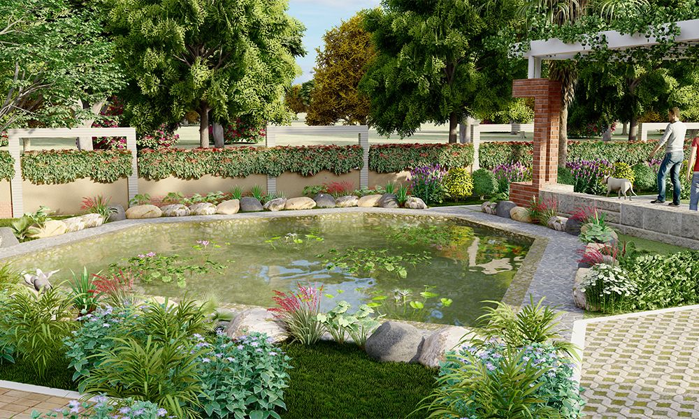 Merusri Sunlit Grove